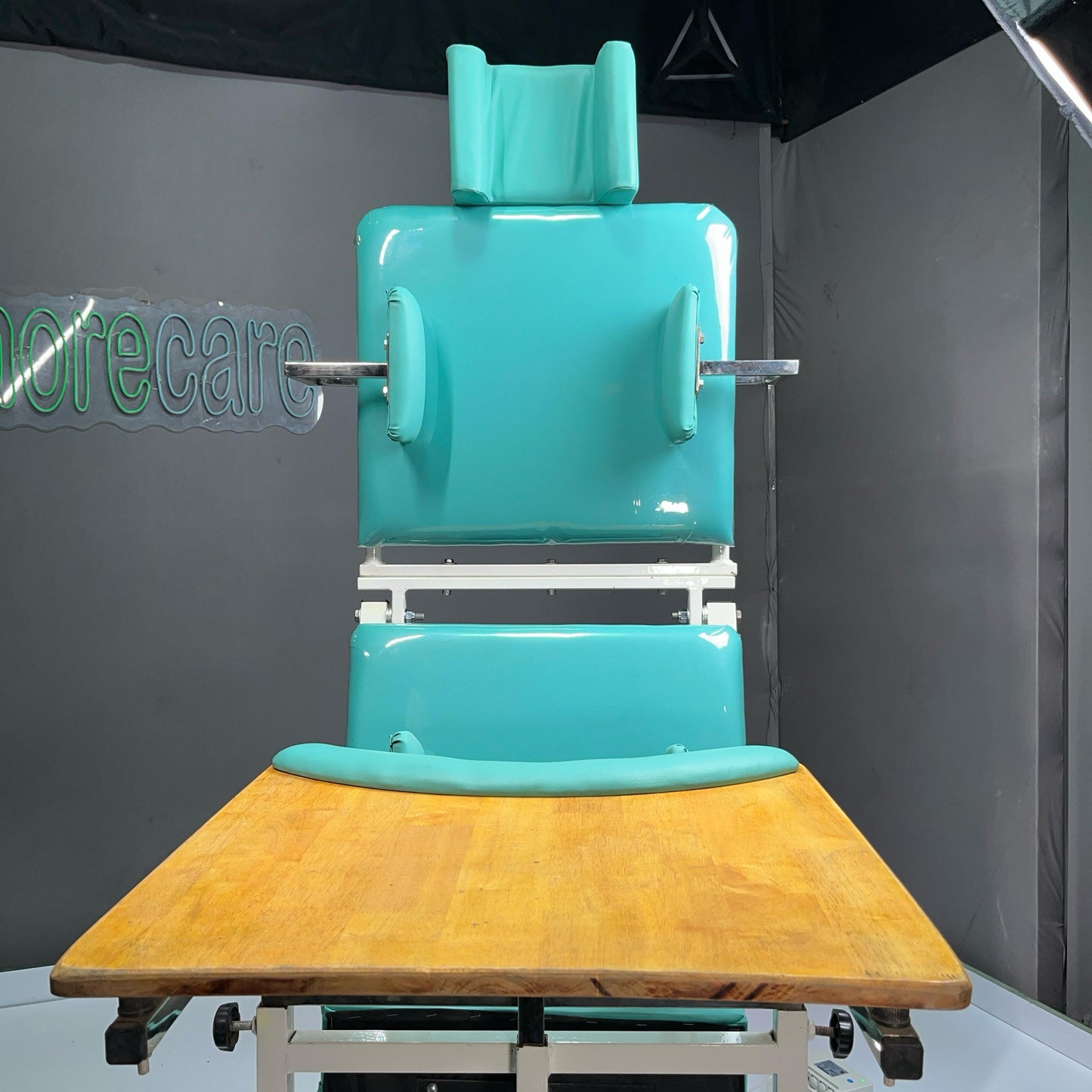 Electric Seating Cum Standing Frame For Adults - ( iStand Bear )
