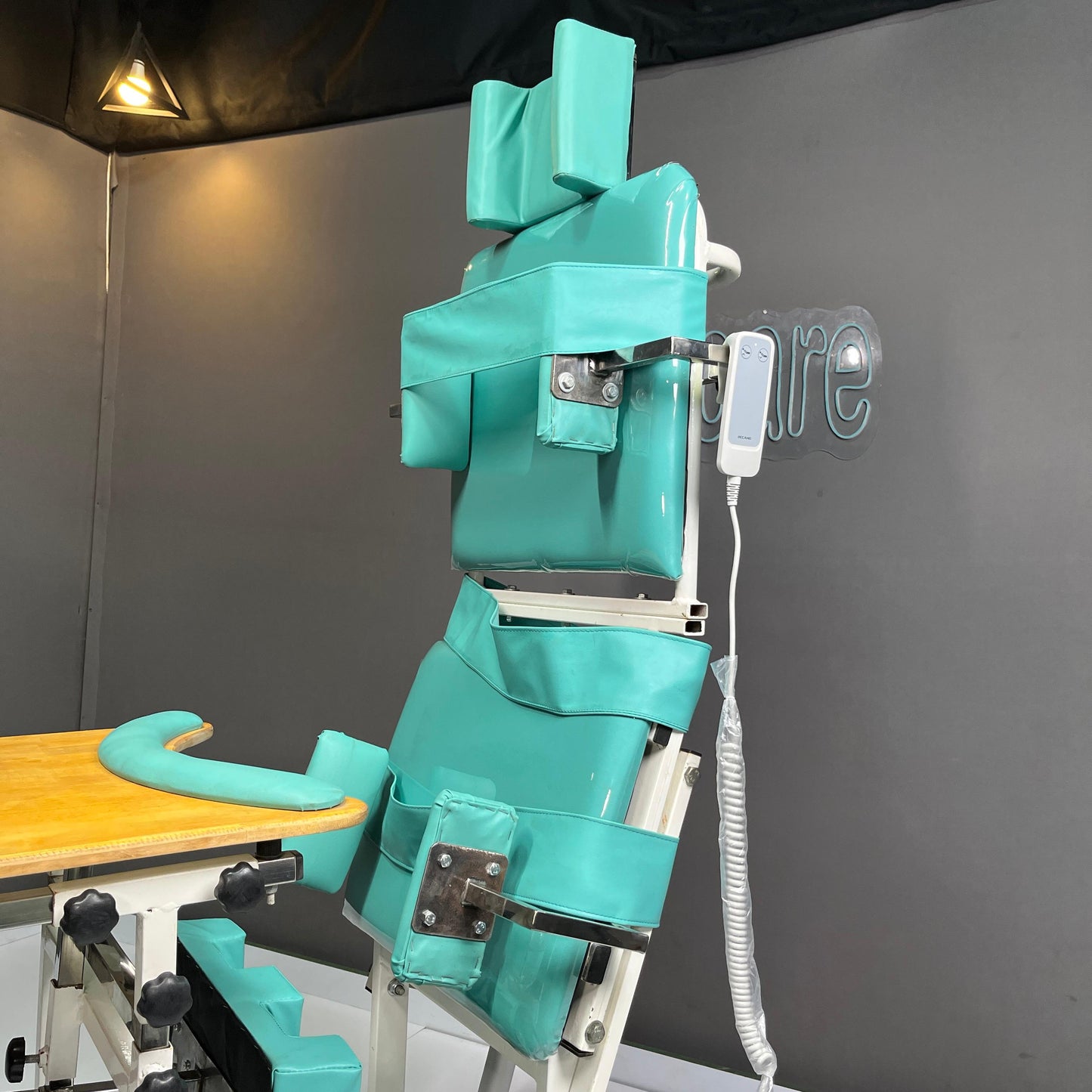 Electric Seating Cum Standing Frame For Adults - ( iStand Bear )
