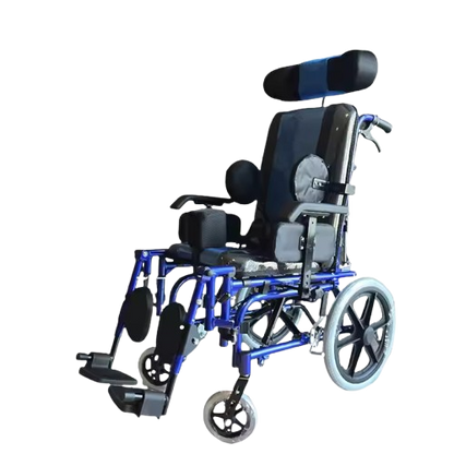 Pediatric High-Back CP Wheelchair (Bluebell)