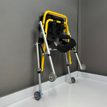 CP Posterior Walker With Butterfly Sling (Daisy)