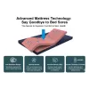 Morecare Bedmate - Motorized Reclining Back & Knee Rest Support Beds